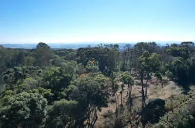 Chácara / sítio à venda no centro, campo alegre , 20725 m2 por r$ 990.000