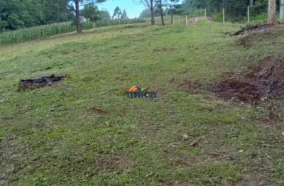 Chácara / sítio à venda no centro, campo alegre  por r$ 399.000