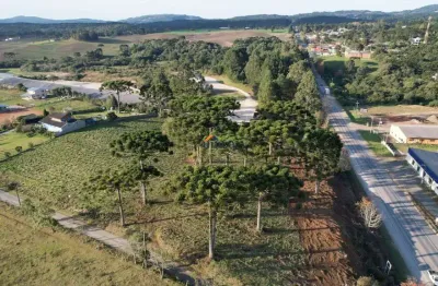 Terreno comercial à venda no centro, campo alegre  por r$ 5.100.000