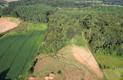 Terreno à venda no dona francisca, são bento do sul  por r$ 750.000
