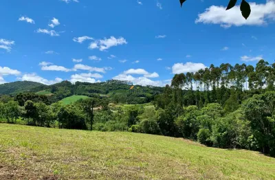 Chácara / sítio à venda no Centro, Campo Alegre 