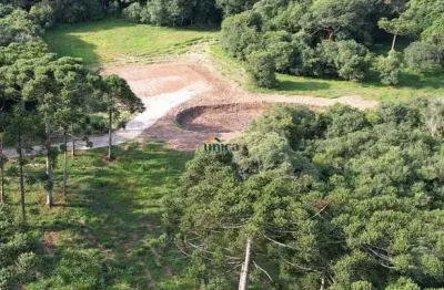 Terreno à venda no Centro, Campo Alegre 