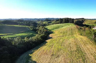 Chácara / sítio à venda no Centro, Campo Alegre 