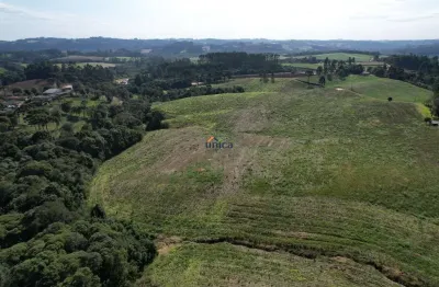Chácara / sítio à venda no centro, campo alegre  por r$ 2.825.000