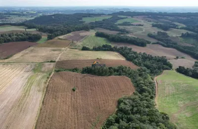 Chácara / sítio à venda no Centro, Campo Alegre 