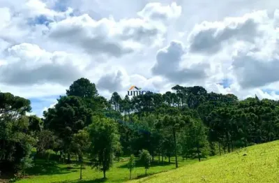 Terreno à venda no Centro, São Bento do Sul 