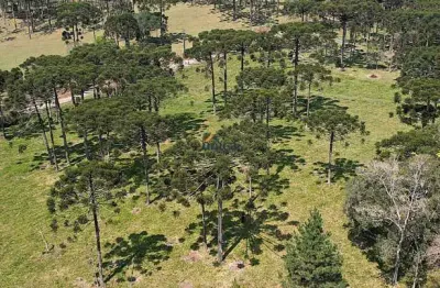 Chácara / sítio à venda no Campestre, Campo Alegre  por R$ 490.000