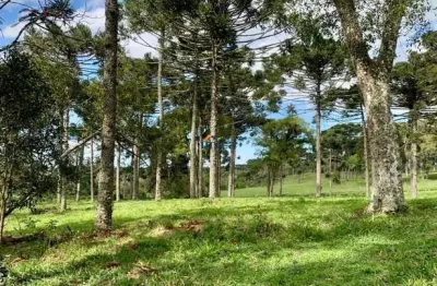 Chácara / sítio à venda no Campestre, Campo Alegre  por R$ 790.000