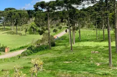 Chácara / sítio à venda no Campestre, Campo Alegre  por R$ 650.000