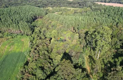 Chácara / sítio à venda no Dona Francisca, São Bento do Sul  por R$ 450.000