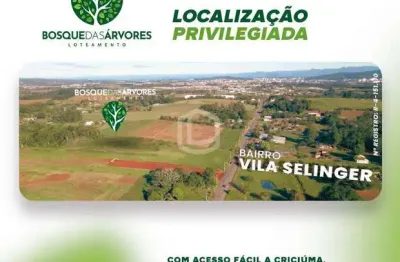 Bosque das árvores - terreno em loteamento na vila selinger, criciúma