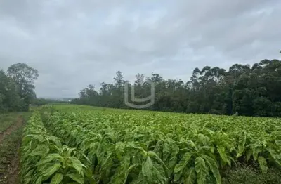 Chácara / sítio à venda na Estrada Da Brusca, Esperança, Içara