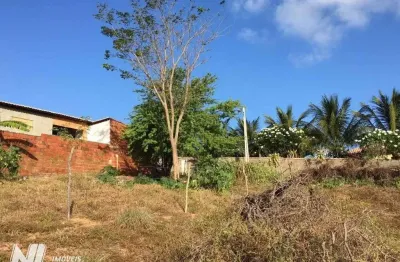 Chácara com 1 dormitório à venda, 46100 m² por r$ 530.000,00 - pirangi do norte