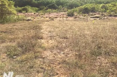 Terreno em pirangi com 4,6 hectares em pirangi do norte
