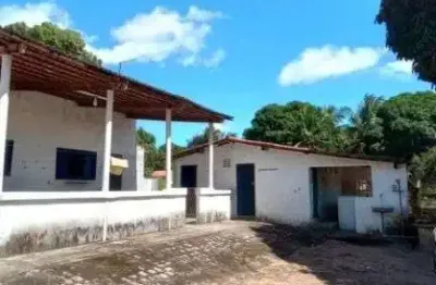 Granja com 7.000m² próximo a prf de são josé de mipibu / br 101