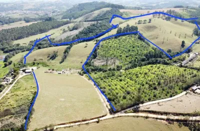 Sítio para venda em pinhalzinho, zona rural, 3 dormitórios, 1 suíte, 3 banheiros, 2 vagas