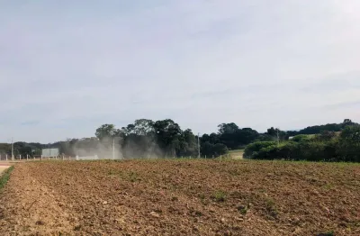 Chácara / sítio à venda na Rua Adão Soares de Oliveira, s/n, Capela Velha, Araucária