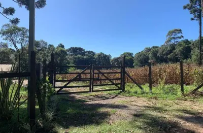 Chácara / sítio à venda no São Caetano, Balsa Nova 