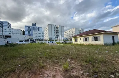Terreno à venda na Rua Lourival Luiz Gomes, 00, Areias, São José