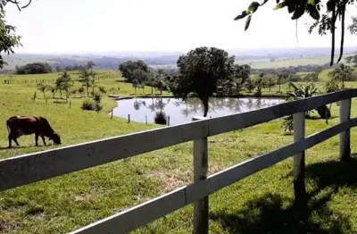 Sítio rural à venda, vila rezende, piracicaba - si0011.