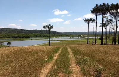 Lindo terreno para chácara em balsa nova - 96.800,00 m²