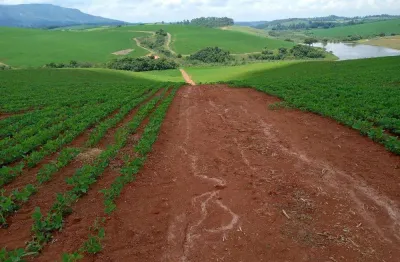 Propriedade de dupla aptidão (pecuária leiteira e agricultura) com grande potencial de investimento no sul de minas gerais.