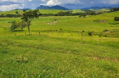 Fazenda de 230 hectares _ boa de água, aptidão para pecuária_tem potencial para plantio de grãos.
