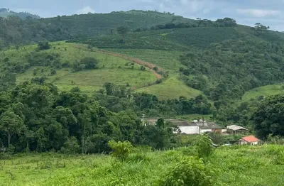 Propriedade de dupla aptidão _ café e pecuária _ região de  caconde - sp
