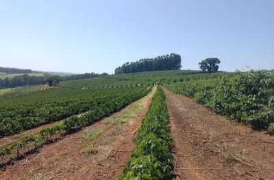 Sítio _ 17.5 alqueires _ 80 mil pés de cafés_sul de minas_portera fechada