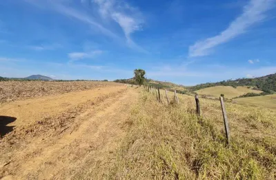 Fazenda na região de caconde _ área de 65 alqueires _ propriedade mista, grãos e pecuária.