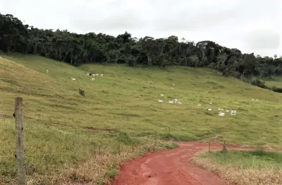 Fazenda 130.80 hectares _ aptidão pecuária e áreas de plantio _ formada em pastagem