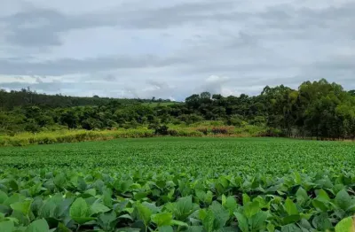 Sítio de 5.5 alqueires _ beira da pista entre são joão e pinhal_ soja