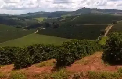Fazenda de 50 alqueires _ café _  região de campestre _ botelhos_ divisa nova, sul de minas;