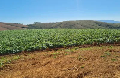 Fazenda agrícula _  378 hectares _ 76% de aproveitamento _ sul de minas