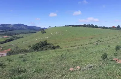 Fazenda de 443,7 hectares _boa de água_ propriedade mista (pecuária e agricultura)_sul de minas.