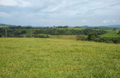 Fazenda de 44 alqueires _ pecuária &amp; agricultura _  região de cabo verde/ divisa nova/botelhos/mg;