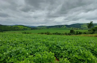 Fazenda para agricultura_plana_aproveitamento de 80%_região de itapira-sp