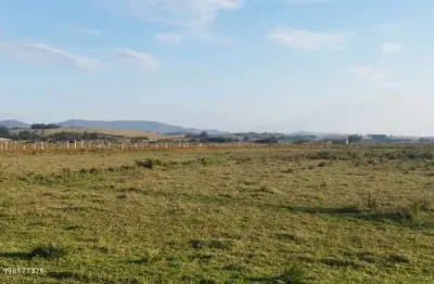 Excelente propriedade para pecuária _ área total 172 hectares_ margeando a fernão dias.