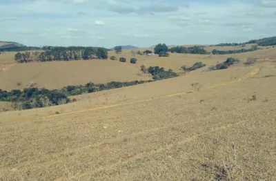 Fazenda mista de 472 hectares _ dupla aptidão, lucro garantido!
