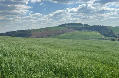 Fazenda _ área de 650 hectares _ agricultura e pecuária_ região de andrelândia/mg