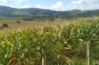 Fazenda à venda na ÁRea Rural, Zona Rural, Lambari