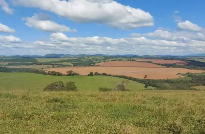 Fazenda de  34 alqueires (82 hectares), região de botelhos_planta café