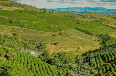 Oportunidade única porteira fechada! fazenda de café com torrefação em são lourenço/mg