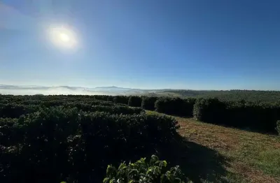 Fazenda 100% irrigada_ alta produtividade e infraestrutura completa _ café e citricultura _sul de minas