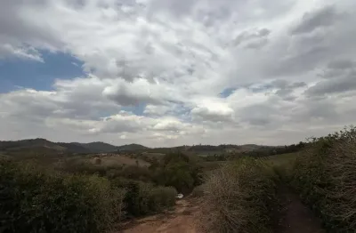 Fazenda de 102 alqueires (246 hectares) _ mista, café e pecuária_sul de minas