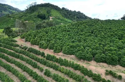 Fazenda de 66,2 hectares - propriedade é mista (café e pecuária).