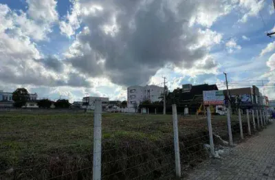 Terreno para alugar, 2100 m² - jardim paulista - campina grande do sul/pr