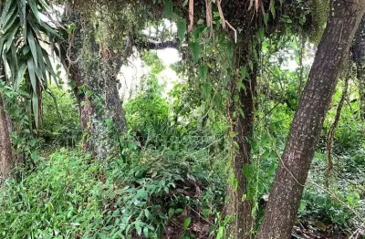 Terreno plano à venda em jurerê internacional, florianópolis