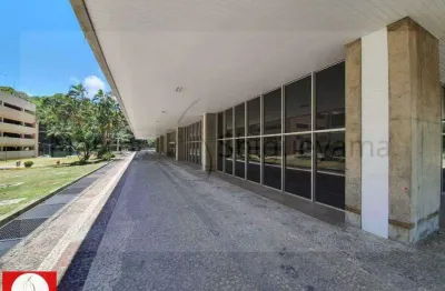 Sala comercial para alugar na Avenida Antônio Carlos Magalhães, 1133, Pituba, Salvador