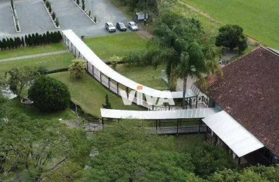 Chácara com 1 dormitório à venda, 20000 m² por r$ 6.000.000,00 - itoupavazinha - blumenau/sc